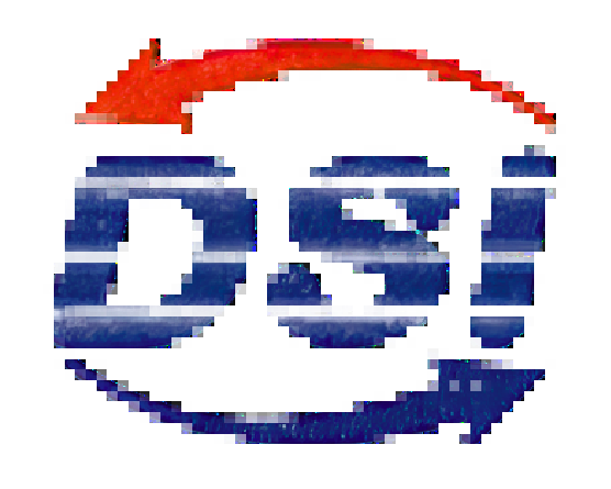 DSI Logo
